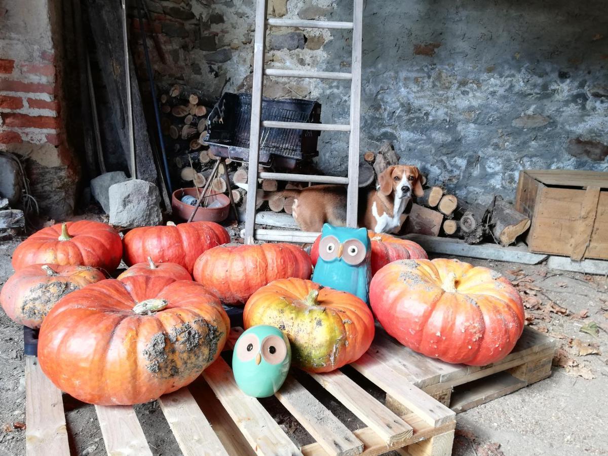 Les Bessonnes Bed and Breakfast Saint-Georges-Haute-Ville Buitenkant foto